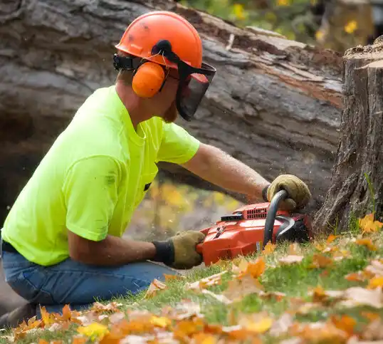 tree services Hopewell Junction